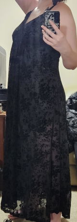 Raven review photo