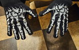 Shauna C. review photo