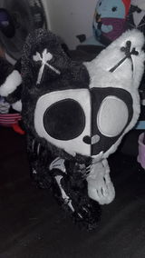 AJ review photo