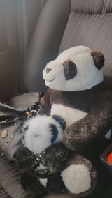 Gracie review photo