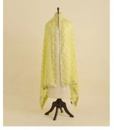 ALISHA review photo