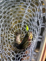 Rob Keener review photo