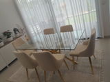 Omar Al Nuaimi review photo