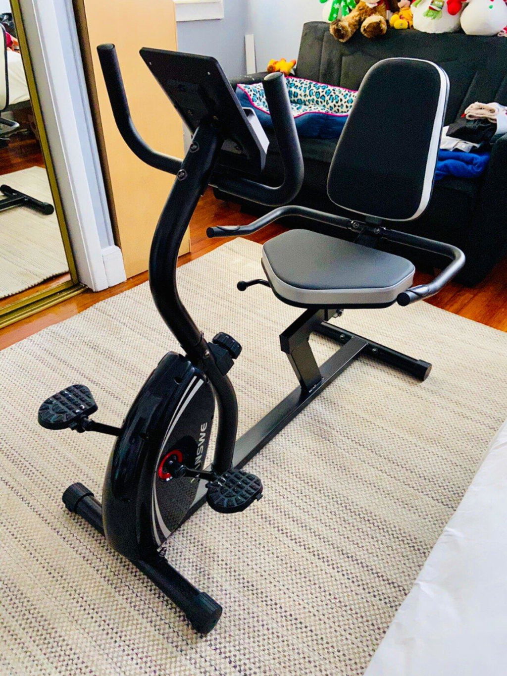 Customer photo of a Vanswe recumbent bike at home