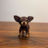 Sophiek review photo