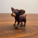 Sophiek review photo