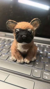 Roc.K review photo