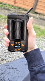 Jack review photo