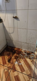 claudia caceres review photo