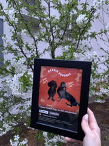 Klaudia Papp review photo