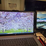 User picture