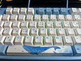 Shae! review photo