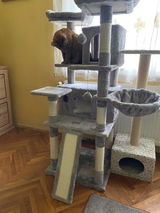 Éva Szép review photo