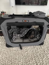 Zsu review photo