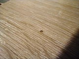 I. review photo