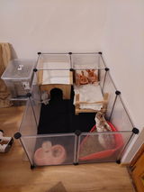 Edina Lojek review photo