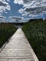 Birgitta Lindh review photo