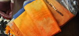 Payal Philip review photo