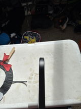 Shane Kemmer review photo