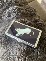 Lincoln Renner review photo