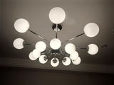David Javis review photo