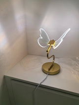 Daniela Bradley review photo