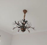 Lisa Rothwell review photo