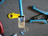 Arkbird review photo