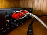 Stepinwolf review photo