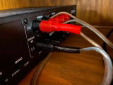 Stepinwolf review photo