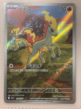 Timothée Gaudeau review photo