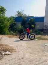 Sartaj kaur review photo