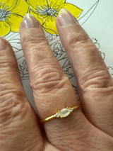 Marianne c. Dorfman review photo