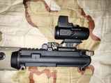 Raymond Pierini review photo