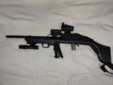 Raymond Pierini review photo