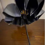 Fbhu review photo