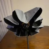 Fbhu review photo
