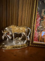 Brijesh Tayal review photo