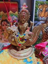 Aruna Patel review photo