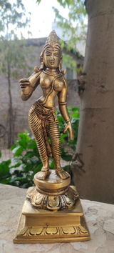 Sathyanarayana C R review photo