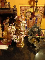 Sudha Seshadri review photo