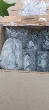Tsering Y. review photo