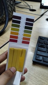 Kaelyra review photo