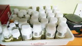 Prachi S. review photo