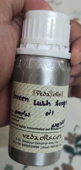 Manish B. review photo