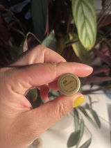 G.A. review photo