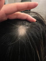 Sha review photo