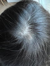 Sha review photo