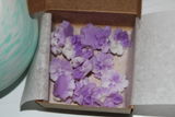 Rocio V. C. review photo