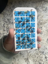 Sophia S. review photo